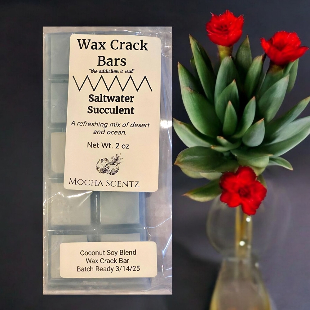 Handmade Saltwater Succulent Cococut Soy Wax Crack Bars - Blue